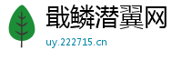 戢鳞潜翼网